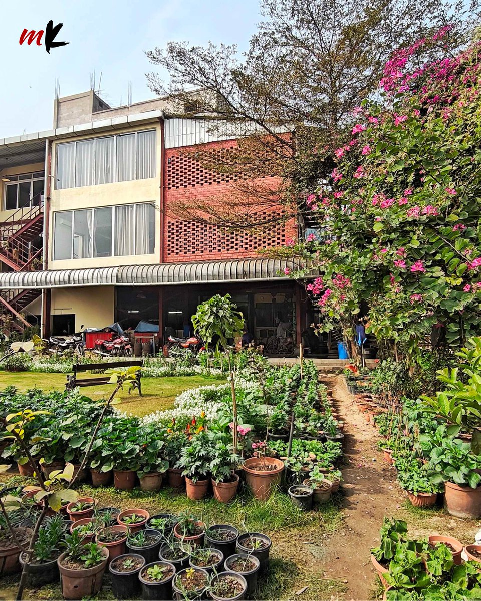 TT_My_Kolkata's tweet photo. Two decades ago, Jalan Industrial Complex was a stretch that many would call ‘barren concrete’, with 500 factory units. Today, it stands transformed with over 10,000 trees.
🔗https://t.co/tNgULfcuae
#JalanIndustrialComplex #GreenComplex #WestBengal #Kolkata #MyKolkata https://t.co/3UQgcfkHEt