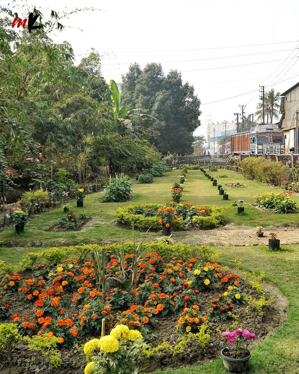 TT_My_Kolkata's tweet photo. Two decades ago, Jalan Industrial Complex was a stretch that many would call ‘barren concrete’, with 500 factory units. Today, it stands transformed with over 10,000 trees.
🔗https://t.co/tNgULfcuae
#JalanIndustrialComplex #GreenComplex #WestBengal #Kolkata #MyKolkata https://t.co/3UQgcfkHEt