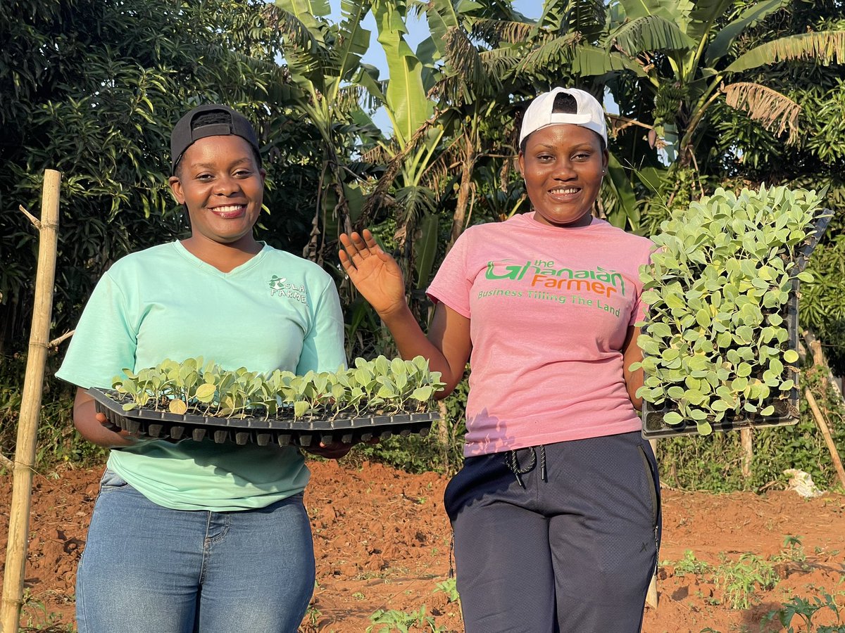EnyonamManye's tweet photo. Small-scale farmers, rural women, young agripreneurs: all rural people make rural areas places of change, innovation and opportunities!

🧡Invest in them, invest in development and growth. https://t.co/3e9RYbFSA6