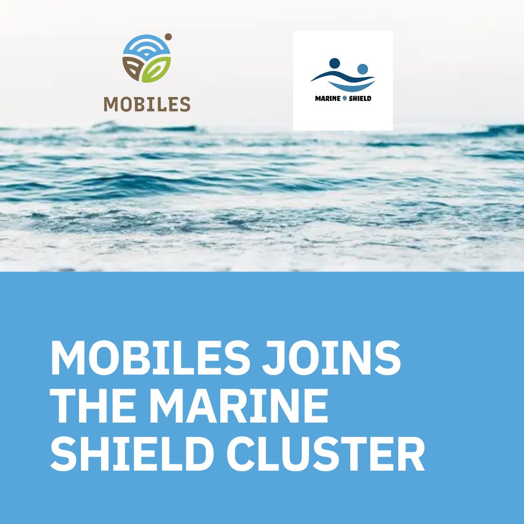 MOBILES project (@mobiles_project) on Twitter photo MOBILES has joined the <a href="/Marineshield_/">Marine Shield Cluster</a>, uniting with EU-funded projects to fight water pollution & protect marine health.
Together, weโll advance tech, share insights, and drive sustainable solutions. Read more: mobiles-project.eu/cooperation
#MobilesProject MOBILES has joined the <a href="/Marineshield_/">Marine Shield Cluster</a>, uniting with EU-funded projects to fight water pollution & protect marine health.
Together, weโll advance tech, share insights, and drive sustainable solutions. Read more: mobiles-project.eu/cooperation
#MobilesProject