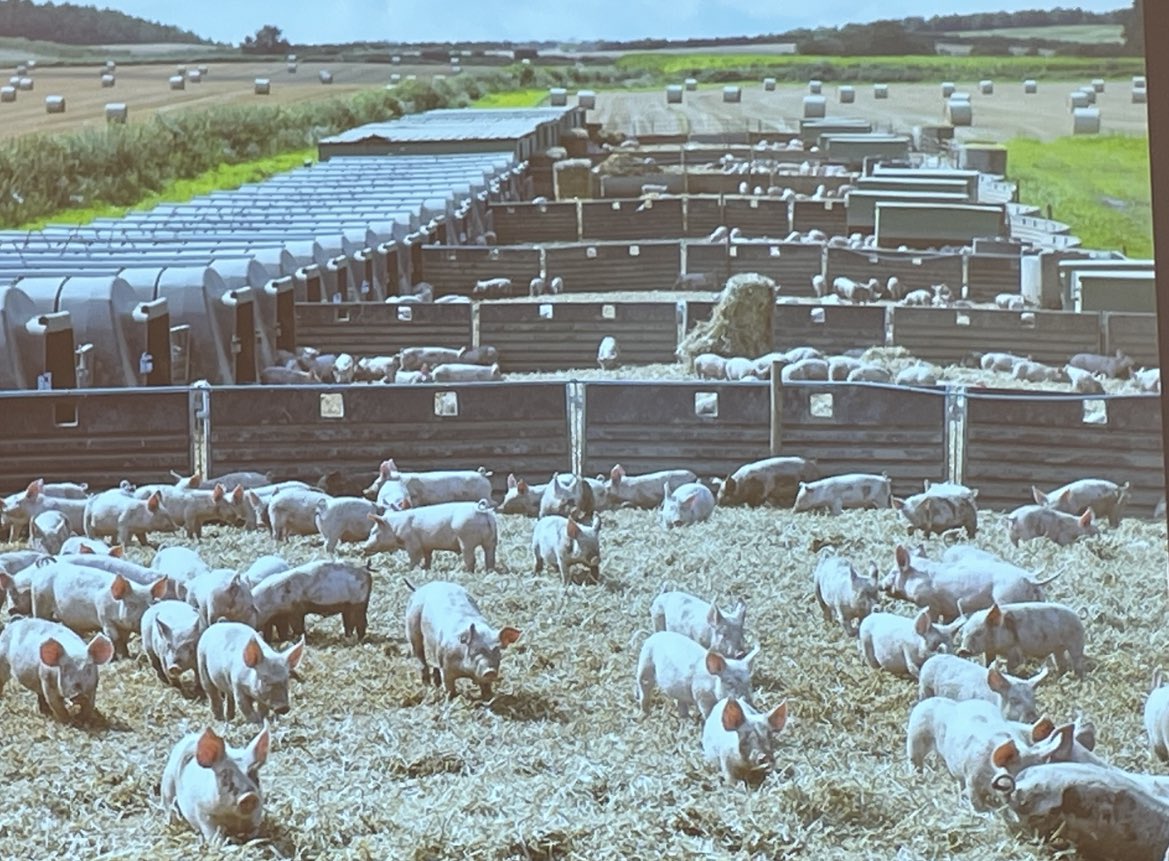 Jason Mauck tweet media