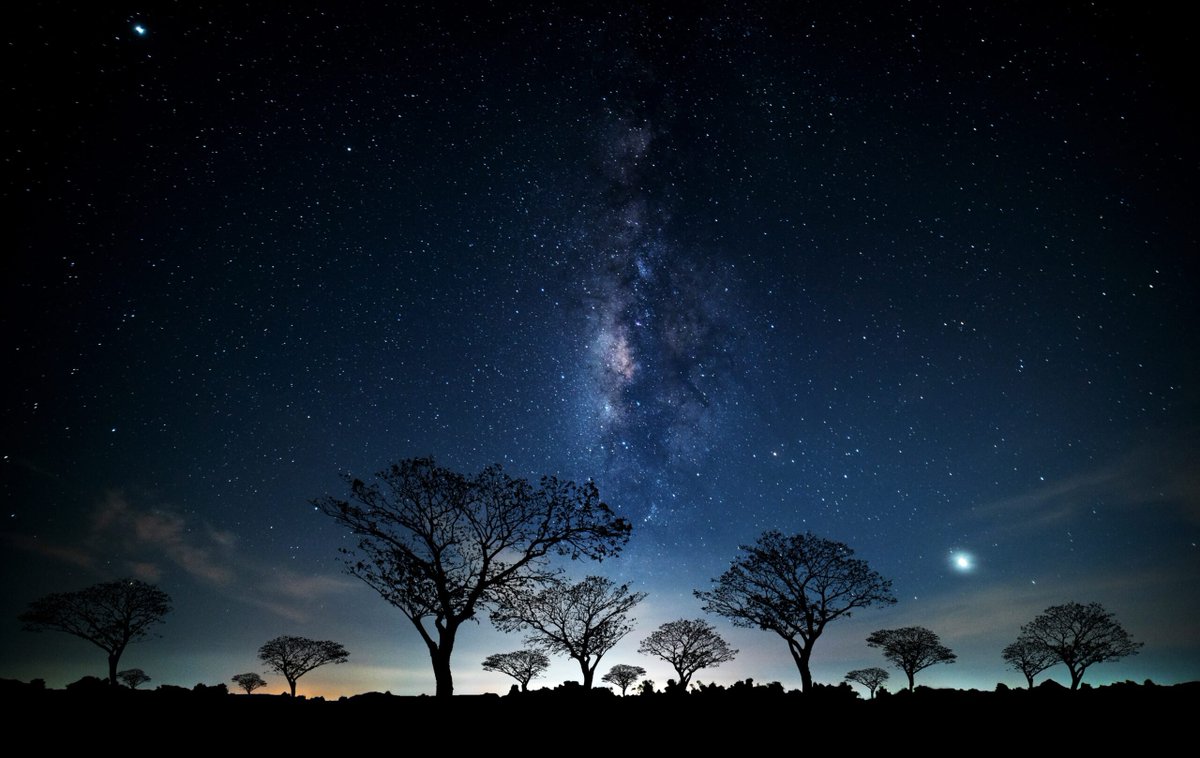 StarkWare 🐺🐱 (@starkwareltd) on Twitter photo We are thrilled to announce the launch of a $4M Venture Fund led by <a href="/Kheireddine_K/">Kheireddine Kamal</a> to accelerate blockchain innovation in Africa.
Africa is arguably the continent that needs blockchain innovation the most, as it faces some of the biggest financial challenges: high transaction We are thrilled to announce the launch of a $4M Venture Fund led by <a href="/Kheireddine_K/">Kheireddine Kamal</a> to accelerate blockchain innovation in Africa.
Africa is arguably the continent that needs blockchain innovation the most, as it faces some of the biggest financial challenges: high transaction