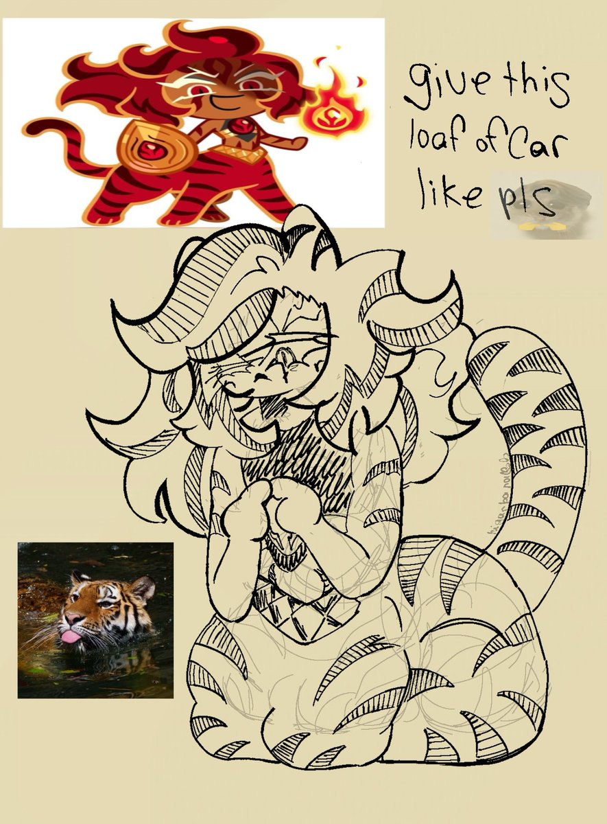 kyomiciio's tweet photo. bro get cooked 
my carr mwahhh 
#crkfanart #crk #fanart  #nutmegtigercookie #lineart  #sketch #cookierunkingdom https://t.co/Lb6yz5PZCe
