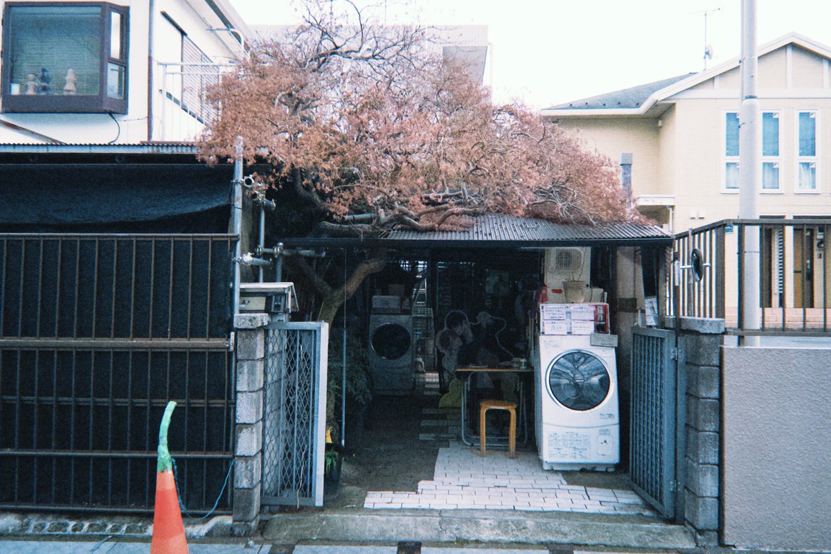 さむらい tweet media