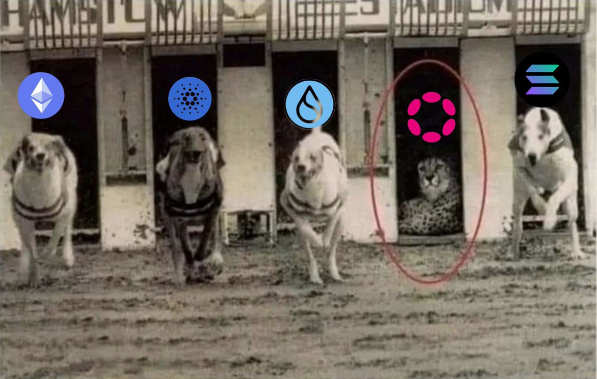 Pavla Mijic ◌ tweet media