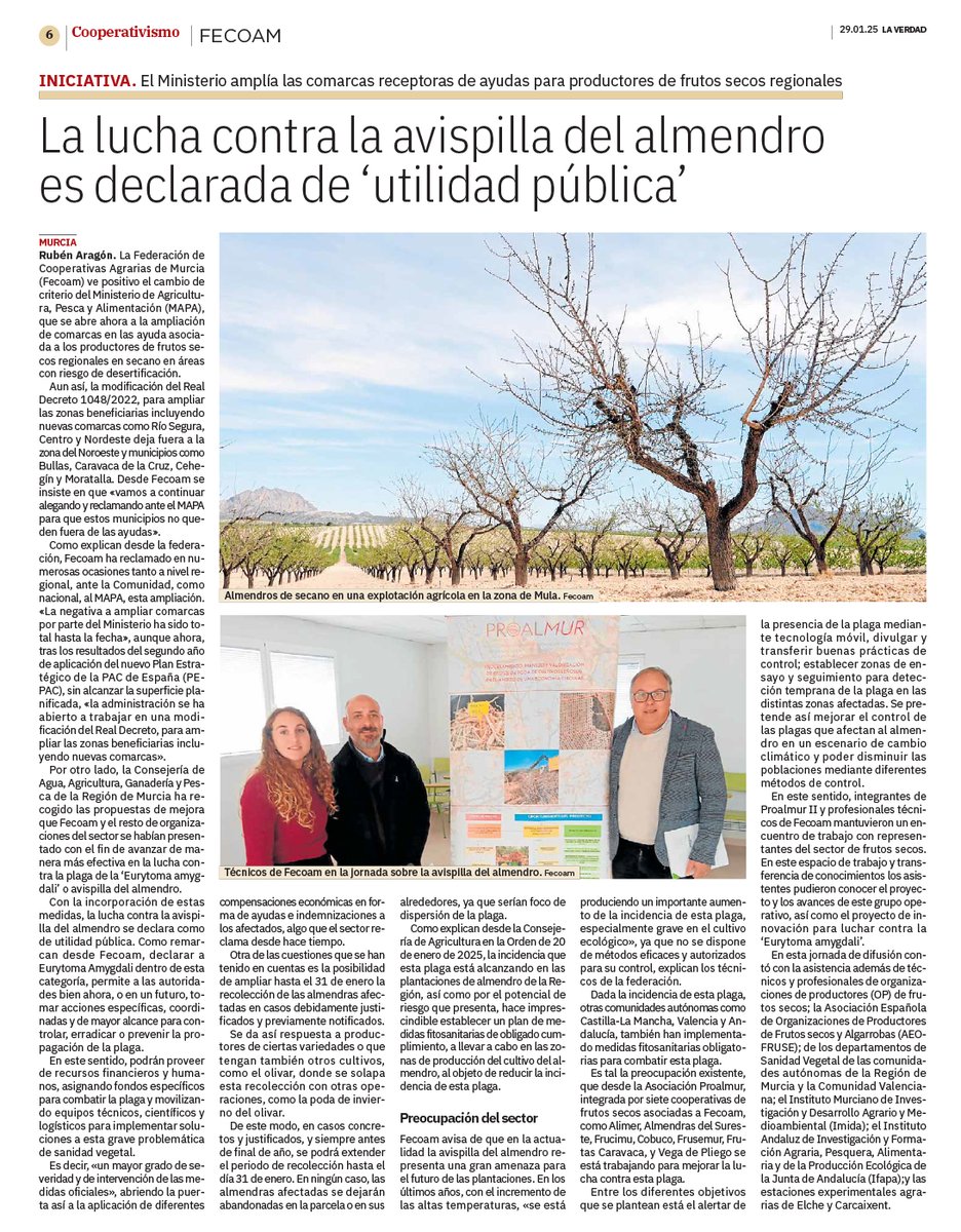Los integrantes de <a href="/GOProalmur/">@GOProalmur</a> trabajan para mejorar la lucha contra la plaga de la avispilla del almendro, además de difundir los trabajos y la labor que se realiza desde este grupo operativo en diferentes jornadas. Toda la info en <a href="/laverdad_es/">laverdad_es</a> ▶️ laverdad.es/economia-regio…