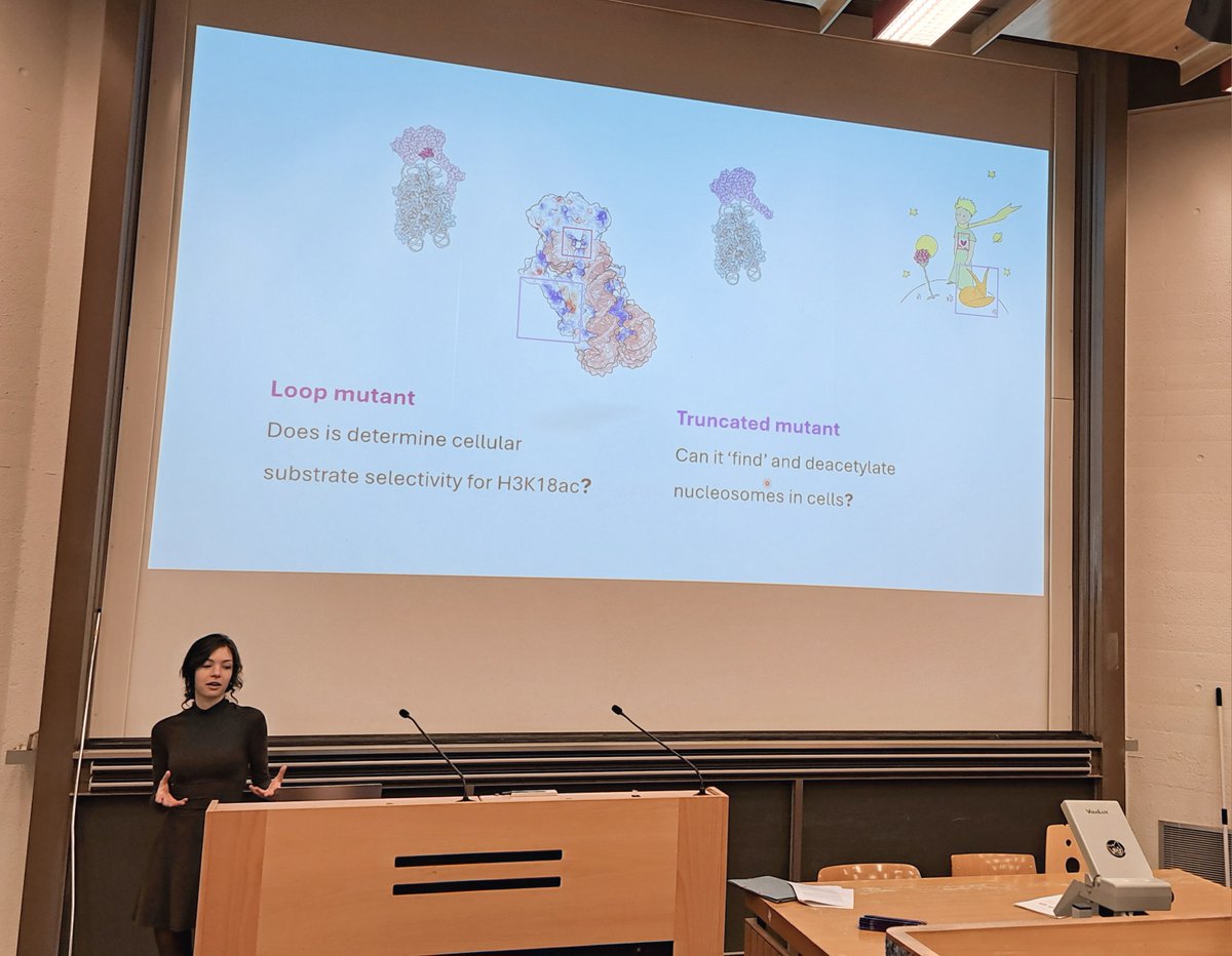 Carlos Moreno-Yruela tweet media