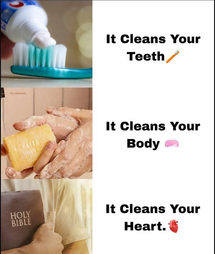 Sam_Cartierr's tweet photo. Fluoride toothpaste #cleans your teeth, soap #cleans your body, and the Holy Bible #cleans your heart!
#TypeAmen.
Le dentifrice au fluor nettoie vos dents, le savon nettoie votre corps et la Sainte Bible nettoie votre cœur !
#TapezAmen. https://t.co/kLcqyKwPJl
