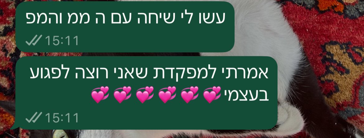 עדיכאון tweet media