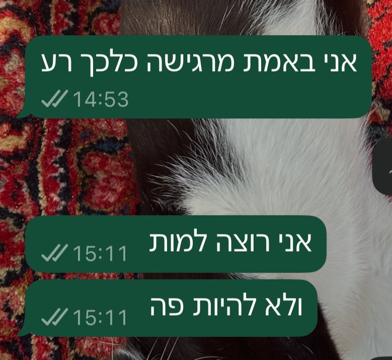 עדיכאון tweet media