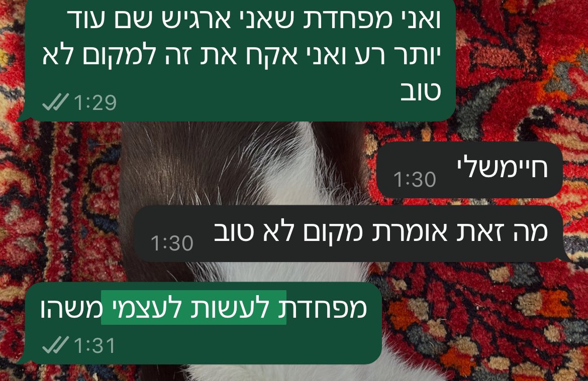 עדיכאון tweet media