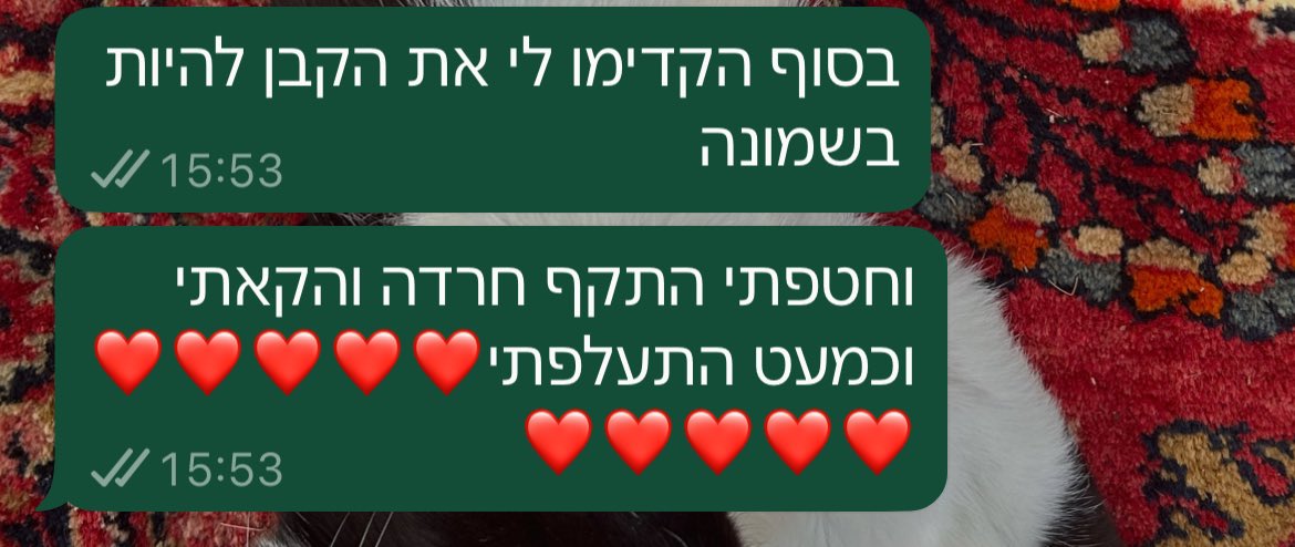 עדיכאון tweet media