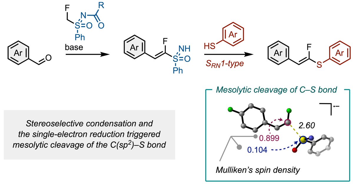 Excited to share our <a href="/ChemRxiv/">ChemRxiv</a> preprint on stereoselective generation and use of α-fluorovinyl radicals via mesolytic cleavage of C–S bond! Huge congrats to Masayuki! Without his crucial insights, we could never have proposed this reaction mechanism.
chemrxiv.org/engage/chemrxi…