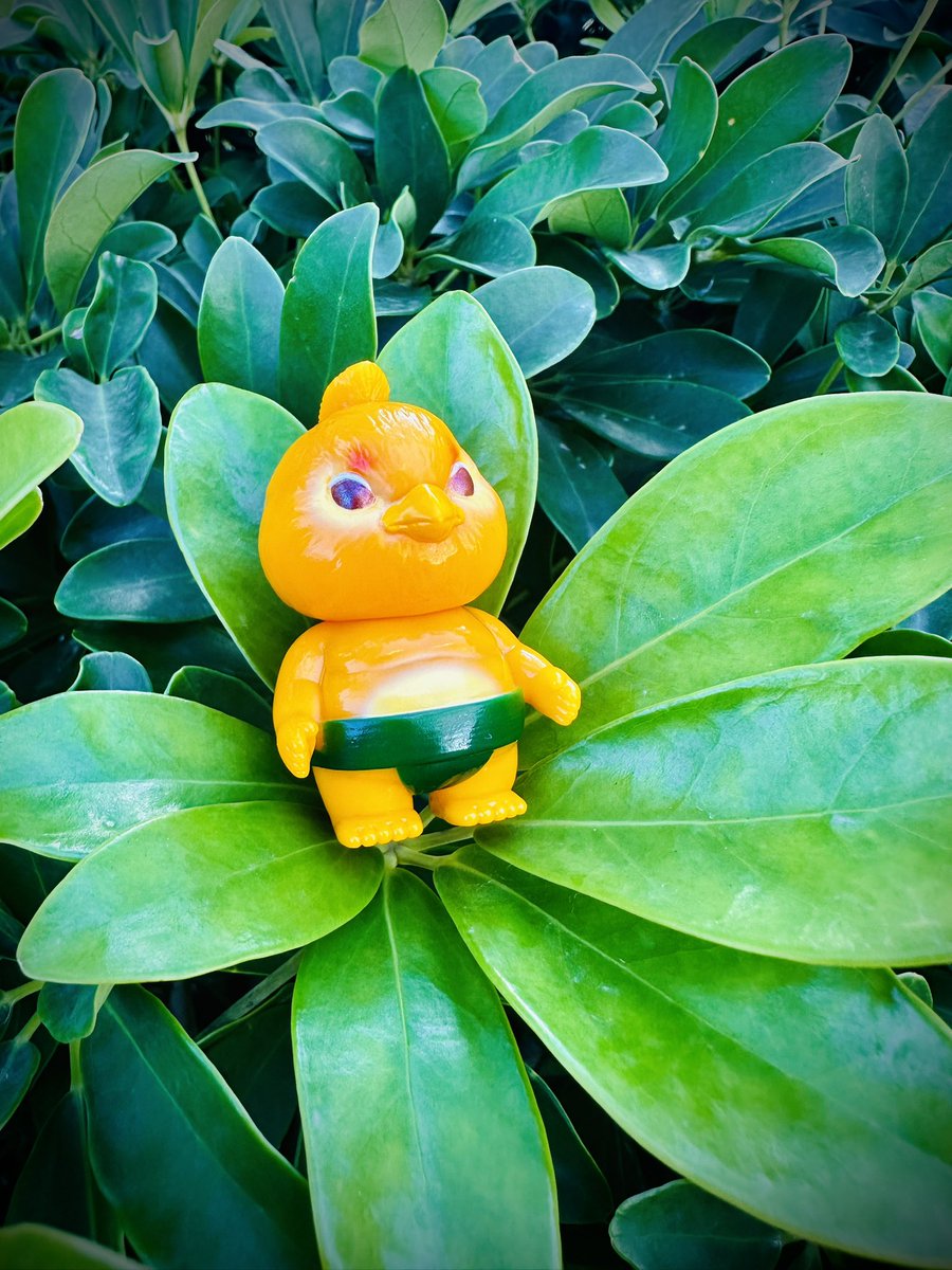kazaf617's tweet photo. チュンペイ🐥

#子雀力士 #チュンペイ #chunpei #moguranoana #kakeruri #realhead #realxhead #realhead_mori #rhnd #真頭玩具 #真頭不滅 #sofubi #sofvi #ソフビ https://t.co/UmR54gKaPl