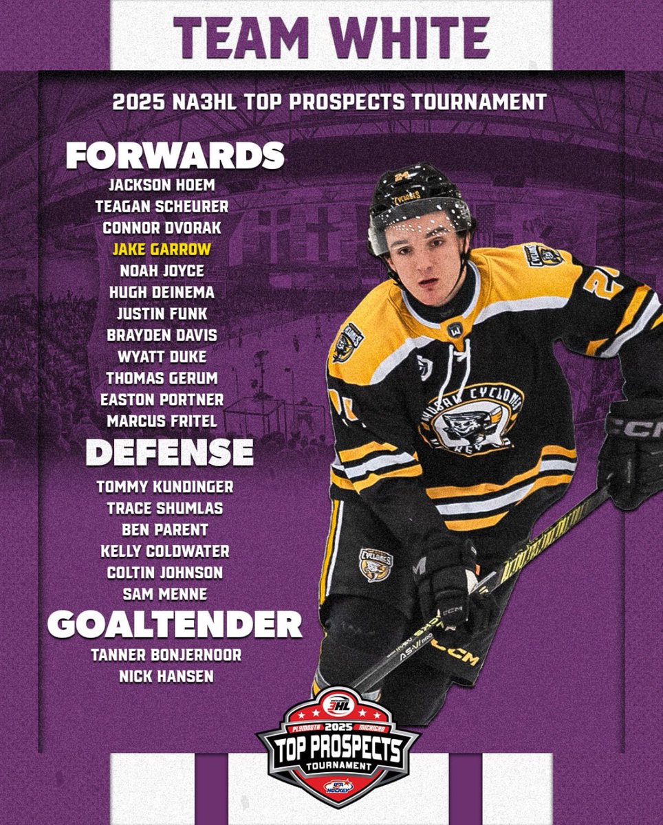PeoriaMustangs's tweet photo. Wyatt Duke will represent team White at the 2025 NA3HL Top Prospects Tournament. 

#HockeyWithHorsepower #backinthesaddleagain https://t.co/HQldjR8QjJ