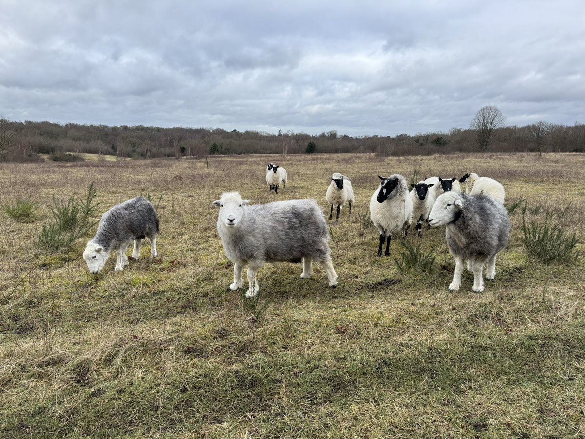 It is a bit fresh on the Downs today but our awesome team of volunteers are making a difference!  

💚