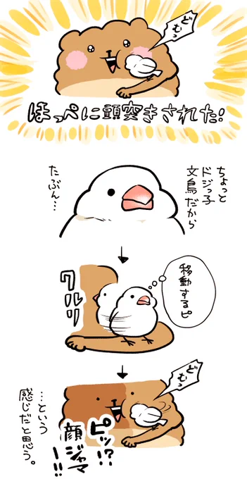 ふわふわでツルツルであたたかい頭 