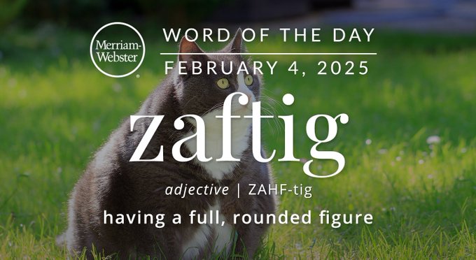 Merriam-Webster Word of the Day February 4, 2025 'zaftig' adjective | ZAFH-tig "having a full, rounded figure" Background Image: a fat cat