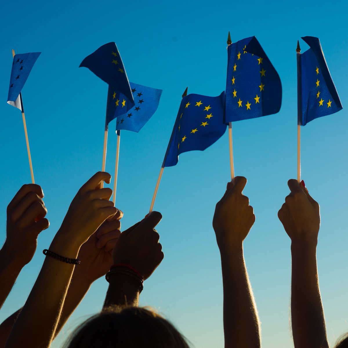 GOPA PACE tweet media