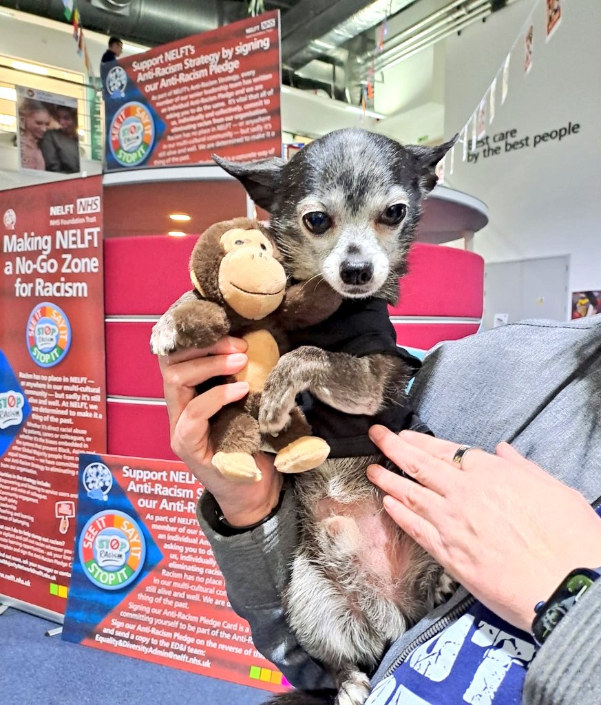 NELFT Clinical Effectiveness Team tweet media