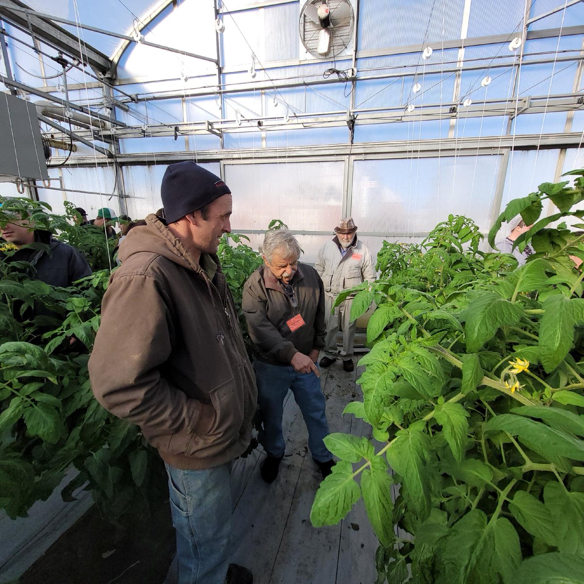 The day before the official start of the Mid-Atlantic Fruit &amp; Vegetable Convention in Hershey, Pennsylvania, participants toured greenhouse operations at HB Farms in New Holland, Pennsylvania.  #MidAtlantic #Events #AgEvents