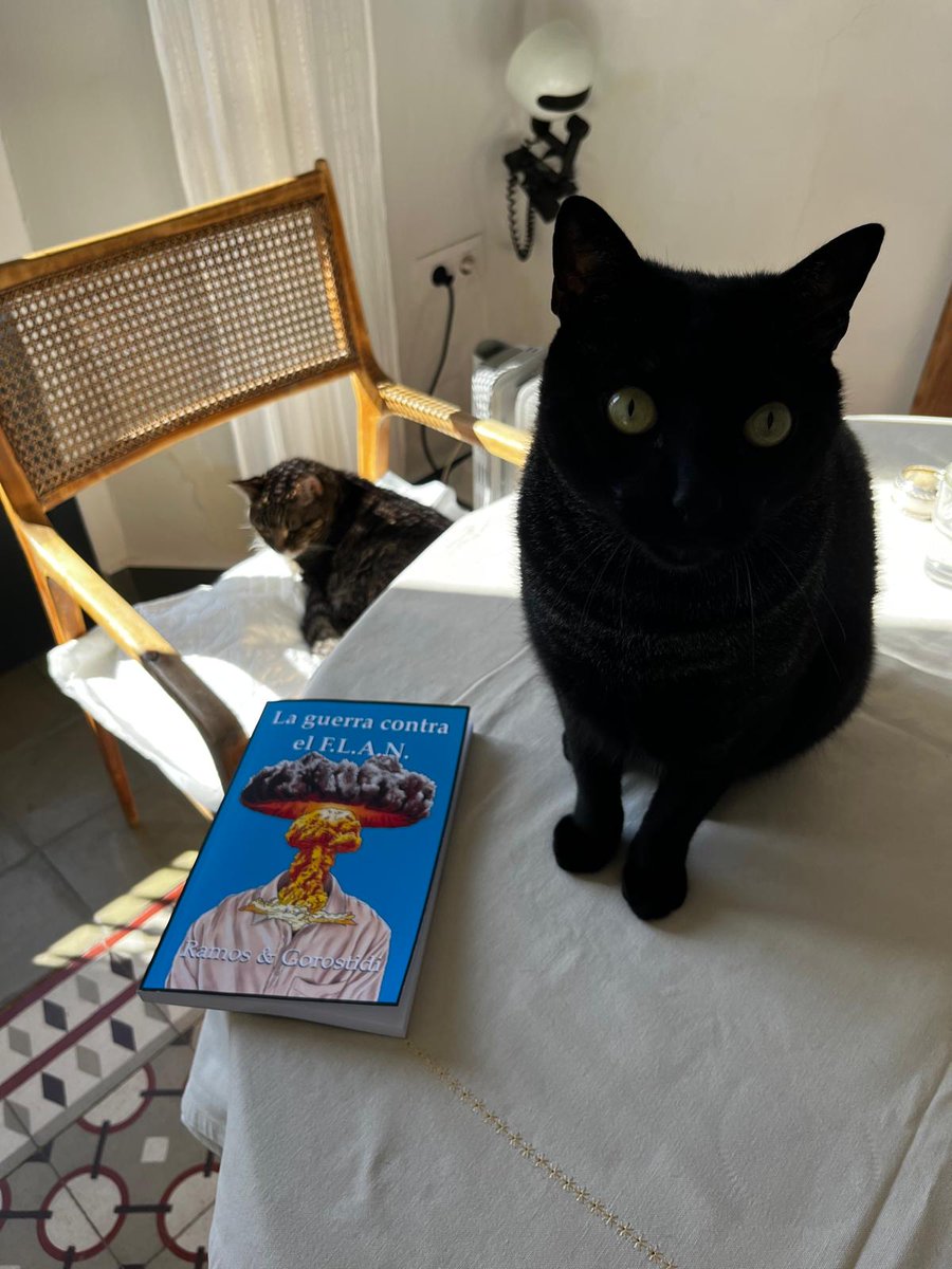 MrInsustancial's tweet photo. Los gatos de mi amiga Consuelo están flipando con "La guerra contra el F.L.A.N.", la novela que hemos escrito @N0ESP0RPRESUMIR y servidora. Si también quieres adquirir la sensación literaria del 2025 tienes el link en mi bio y en la de @N0ESP0RPRESUMIR. https://t.co/UhNEnVbkBr