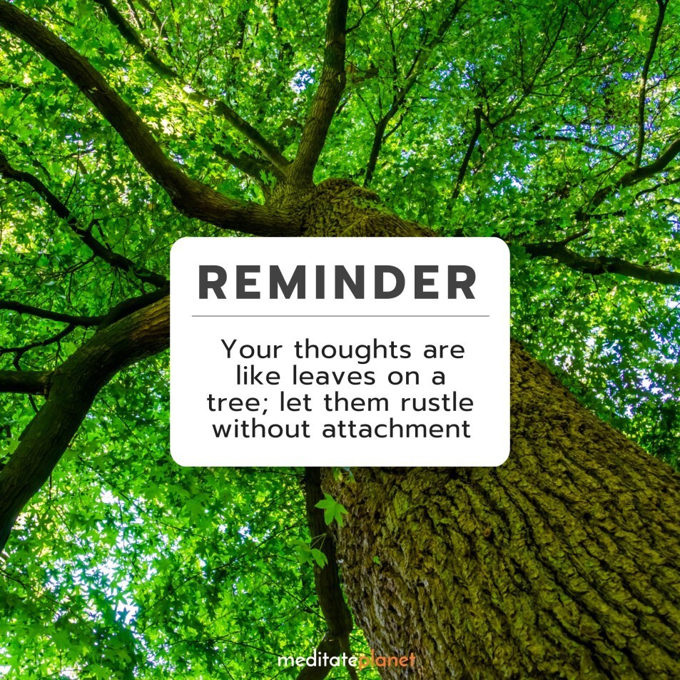 meditateplanet's tweet image. Your thoughts are like leaves on a tree; let them rustle without attachment.

🍃💭🧘‍♂️

#ThoughtsAndCalm #MentalFreedom #InnerHarmony