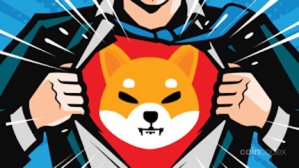 Shiba Inu tweet media