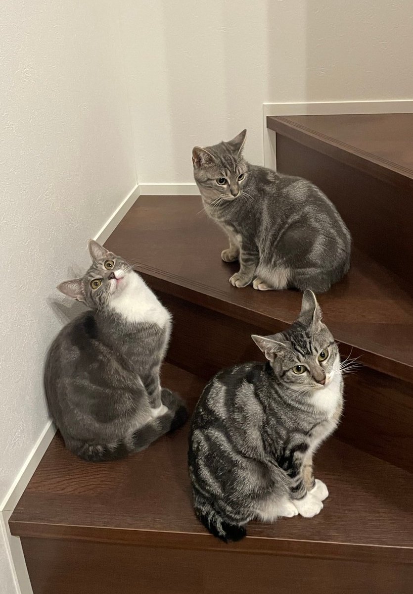 アー写じゃん！