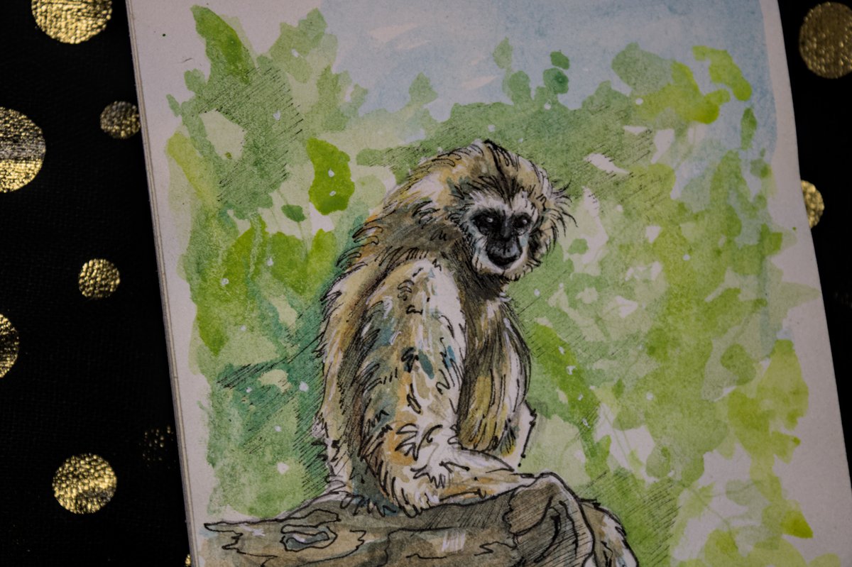 Morrigan_art_50's tweet photo. J'ai récemment travaillé sur le challenge d'Aaron Blaise "Daily Drawing". J'aime bien travailler sur ces petites aquarelles, presque quotidiennement. #watercolor #dailydrawing #aaronblaise https://t.co/EZ88MLVoVV