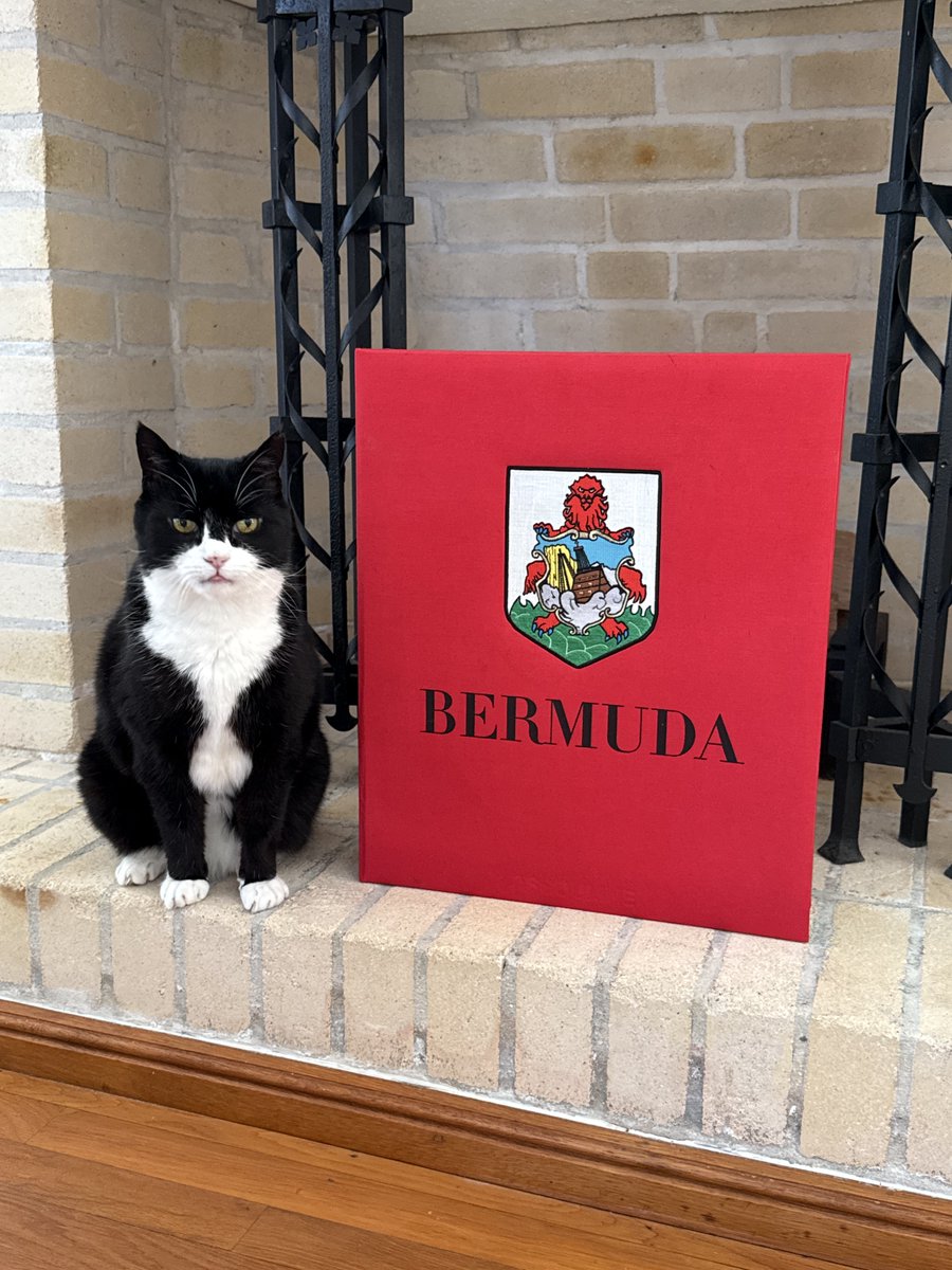DiploMog's tweet image. Diplomacy and a purr-fect role have lured me out of retirement. I’ve just started work as feline relations consultant (semi-retired) to the new Governor of Bermuda. I’ve been busy meeting very welcoming Bermudians @TheRoyalGazette @FCDOGovUK