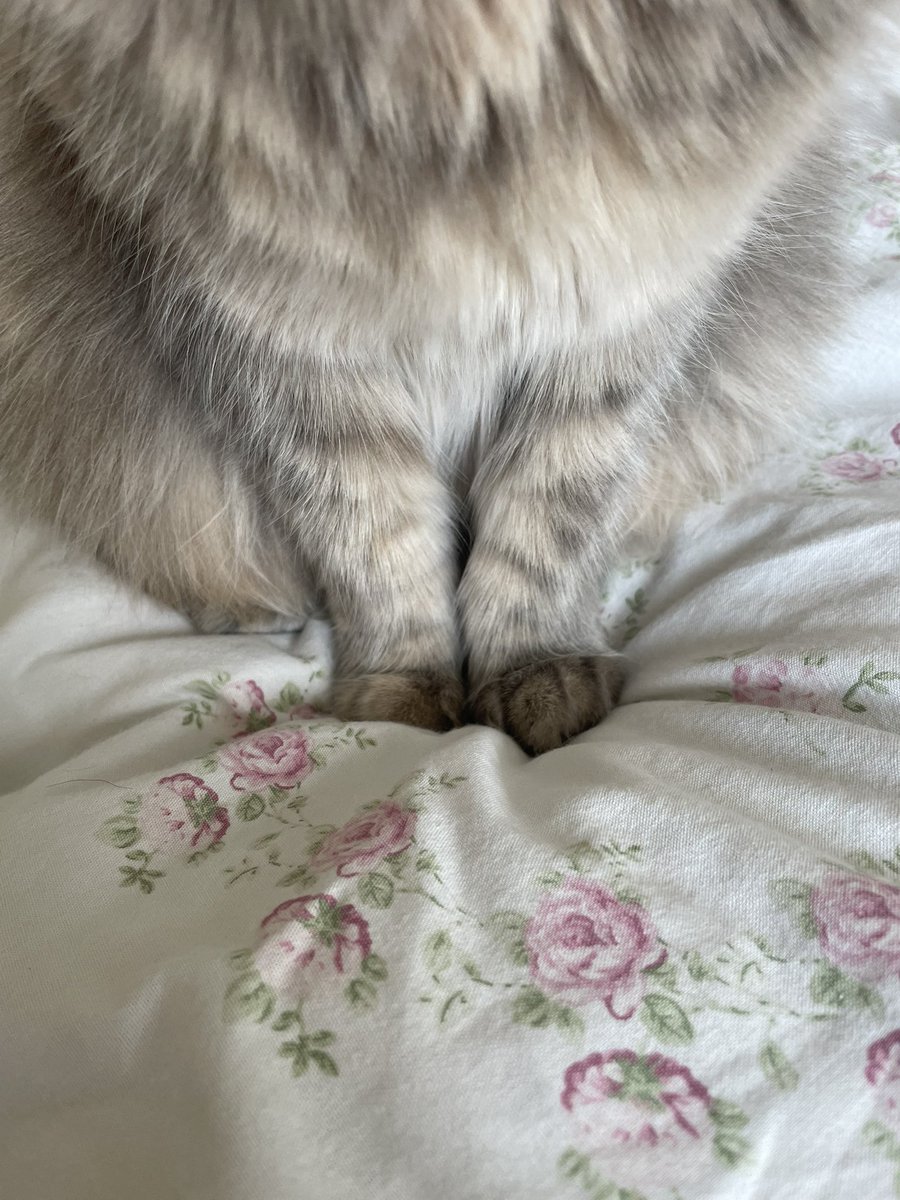 Çok önemli ayaklar