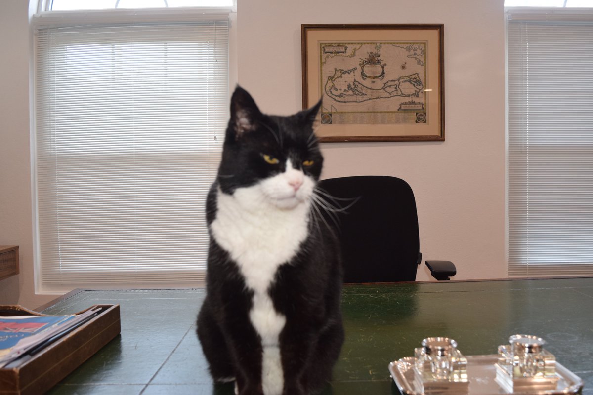 DiploMog's tweet image. Bermuda, a British Overseas Territory, is a beautiful archipelago of islands in the Atlantic Ocean. It’s approximately 21 square miles of land and 640 miles from the east coast of the US. Thanks to Sally at Fetchapet for taking care of me on my travels❤️