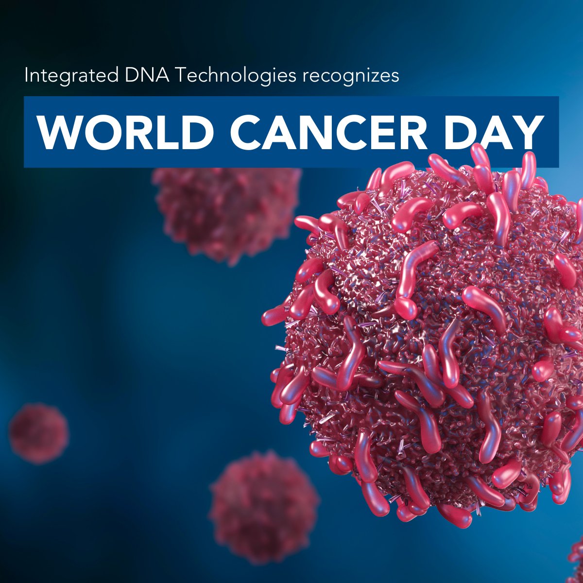 idtdna's tweet image. Today is #WorldCancerDay. According to the American Cancer Society, cancer causes about 1 in every 6 deaths worldwide. At IDT, we know the next #cancerdiscoveries can’t wait, but comprehensive #biomarkerdetection can be challenging.  
 
Learn how IDT&apos;s #NGSsolutions can help:…