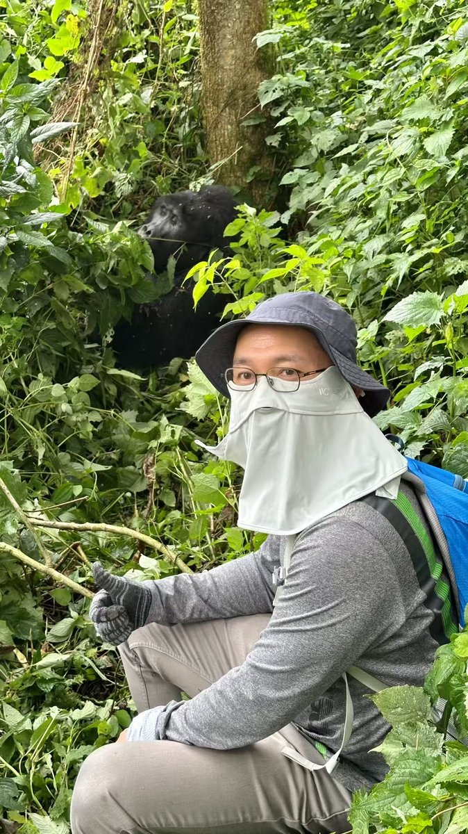 BeautifulUG520's tweet image. #Bwindi #GorillaTracking #ExploreUganda #UgandaSafari