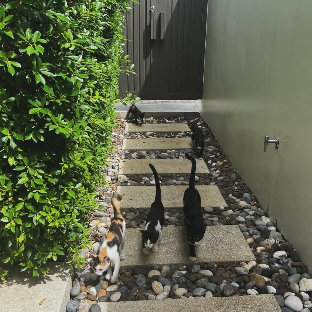 ⠀   

        ٬٬ ׂ     жизнь после 𝓒мерти существует. ⠀

         #newmeaning                𒆜               ♡

⠀