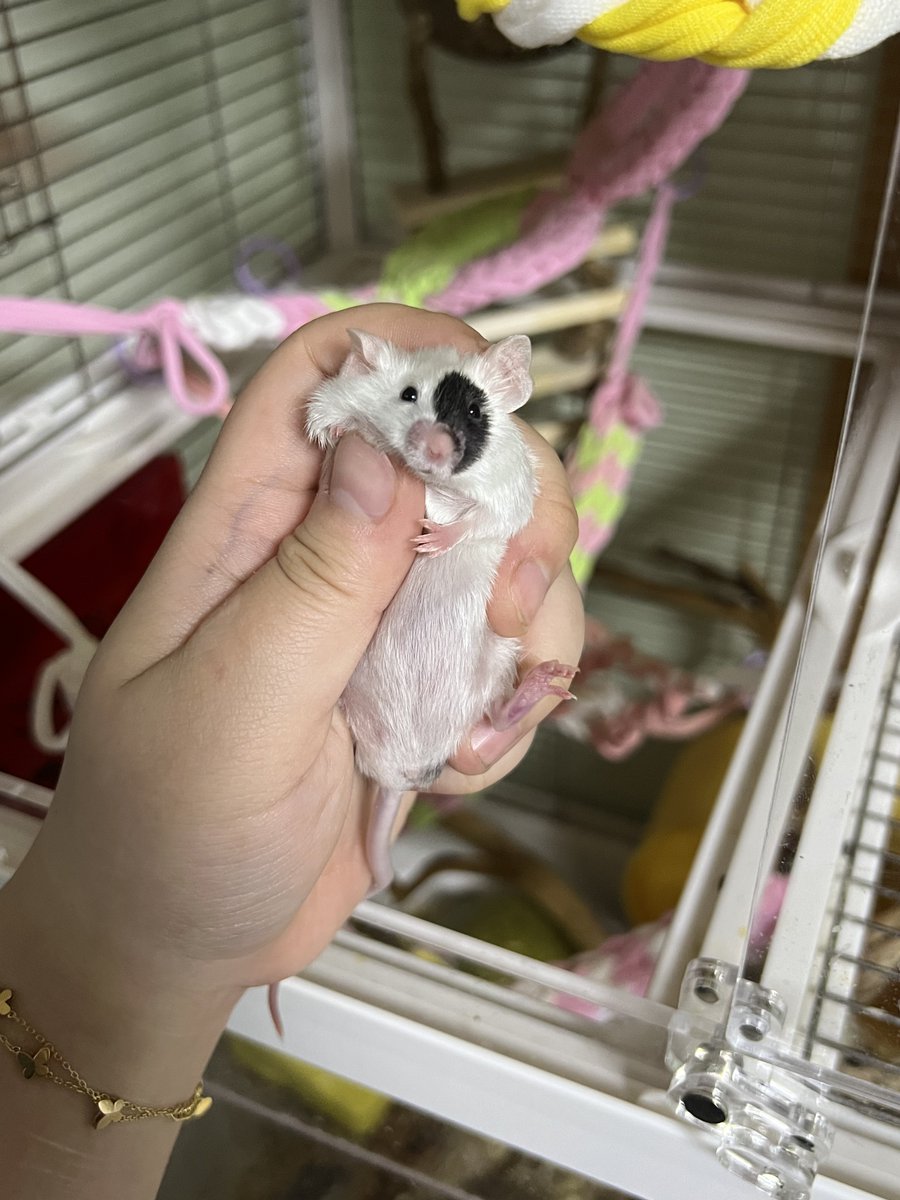 왜케 푸짐해지는거냐