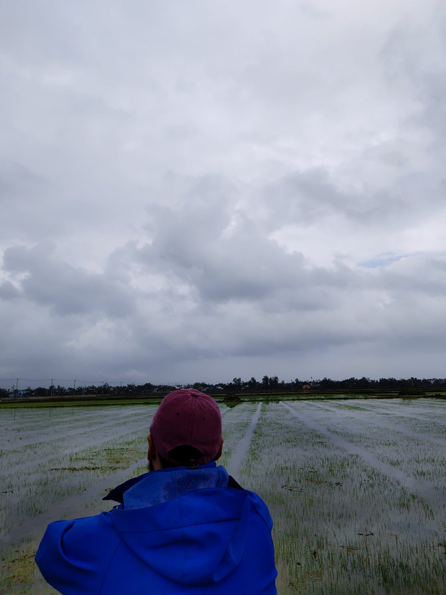 FrancoMorano's tweet photo. Cam Kim Rice Fields 🚲🧘🏻‍♂️ 
 #vietnam #adventure #roadtrip #hoian

📍Hội An, Vietnam 🇻🇳 https://t.co/QvrhOkPzde