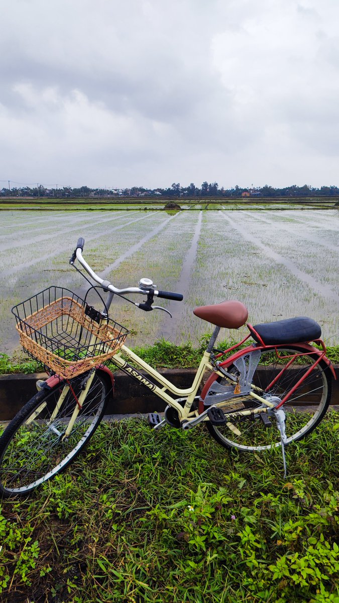 FrancoMorano's tweet photo. Cam Kim Rice Fields 🚲🧘🏻‍♂️ 
 #vietnam #adventure #roadtrip #hoian

📍Hội An, Vietnam 🇻🇳 https://t.co/QvrhOkPzde