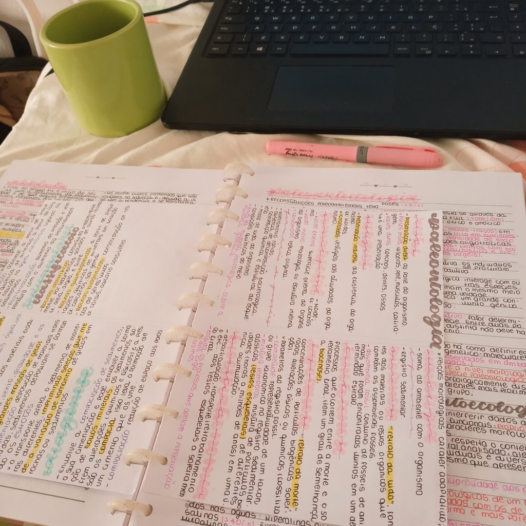 nanasstudies's tweet photo. a prova é hoje, vou enlouquecer.
(mas as anotações estão fofas) https://t.co/MSV9RaQ157