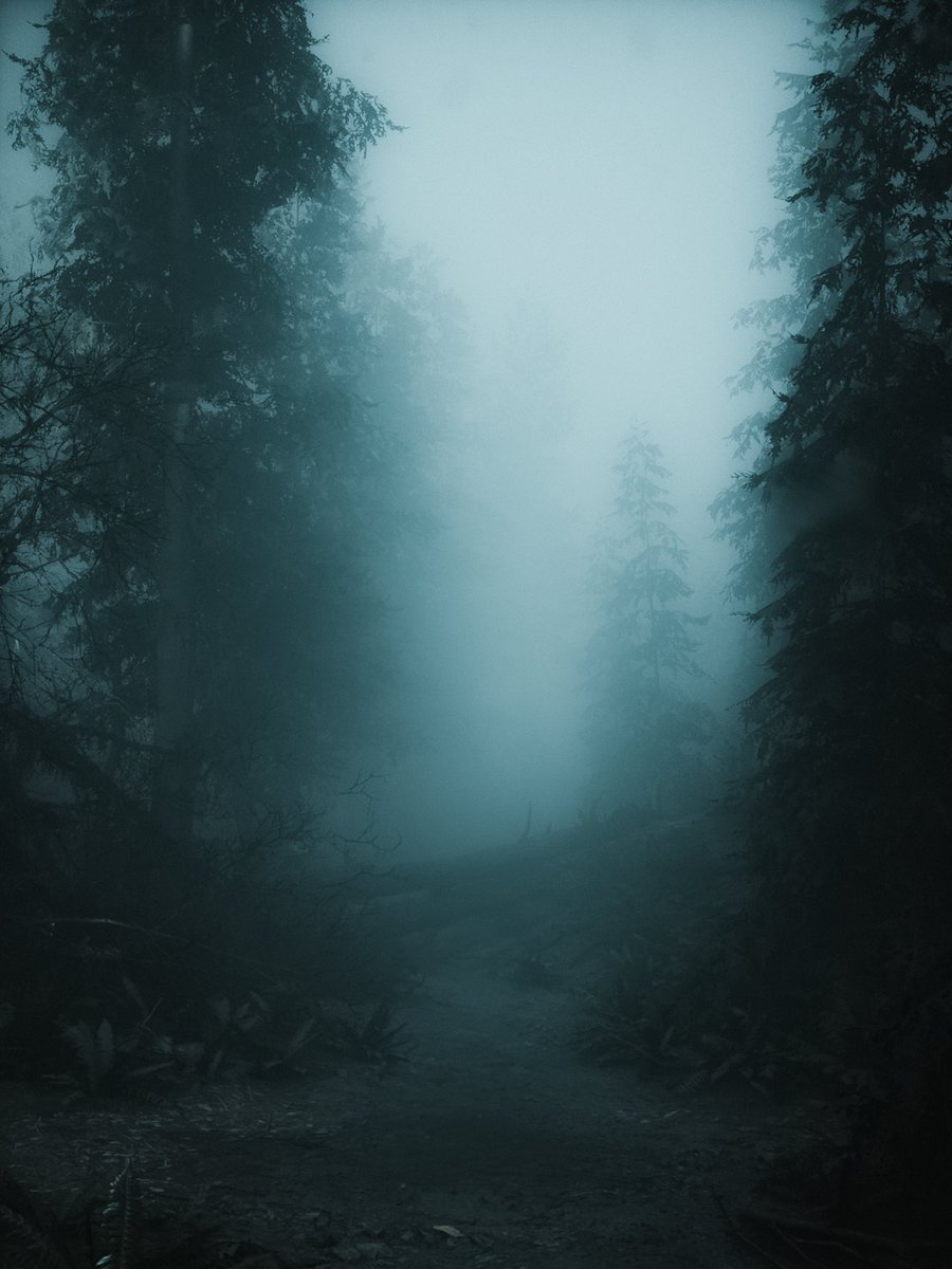 AggzGaming's tweet photo. 🎮: Alan Wake 2
#alanwake2 #virtualphotography #aw2photography #VPRT https://t.co/aRrD09KcvE