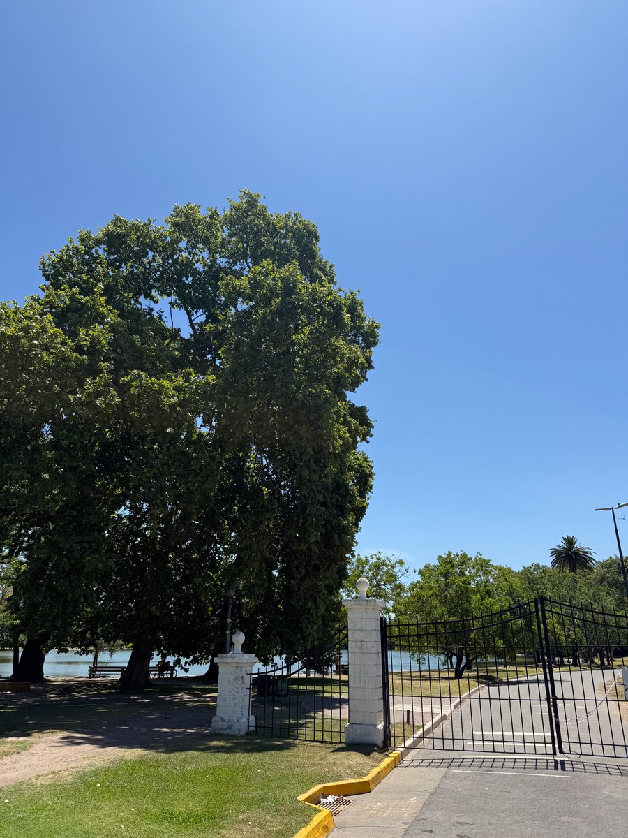 Geologo_Trader's tweet photo. Sigo creyendo que Palermo, Buenos Aires, es el mejor barrio para vivir en toda Sudamérica. 

🇦🇷🥩🍷