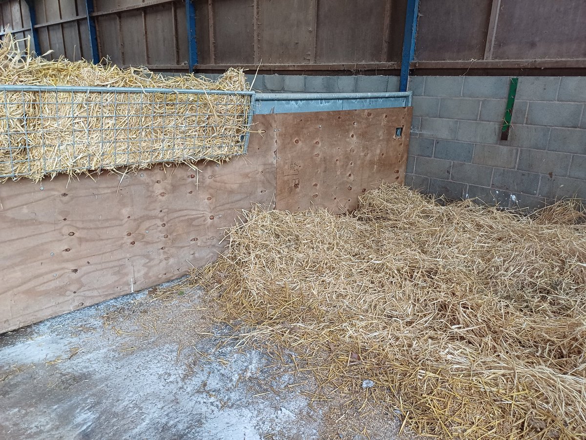 RetreatSwallows's tweet photo. Nice clean calf pens for some new recruits tomorrow! We are always more than happy to show guests around the farm...so book now and don't miss out on seeing  these little ones settle in- check back for an update! https://t.co/lMEvfDXPej