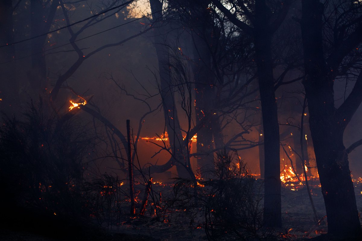 ECOCIDIO: hay 5 grandes incendios forestales activos;
4.100 ha en PN Lanín (Neuquén)
10.764 ha en PN Nahuel Huapi (Río Negro)
2.800 ha en Mallín Ahogado (Rio Negro)
3.530 ha en Epuyén (Chubut)
3.200 ha en Atilio Viglione (Chubut)

Total: 24.494 ha de bosques, plantaciones y casas