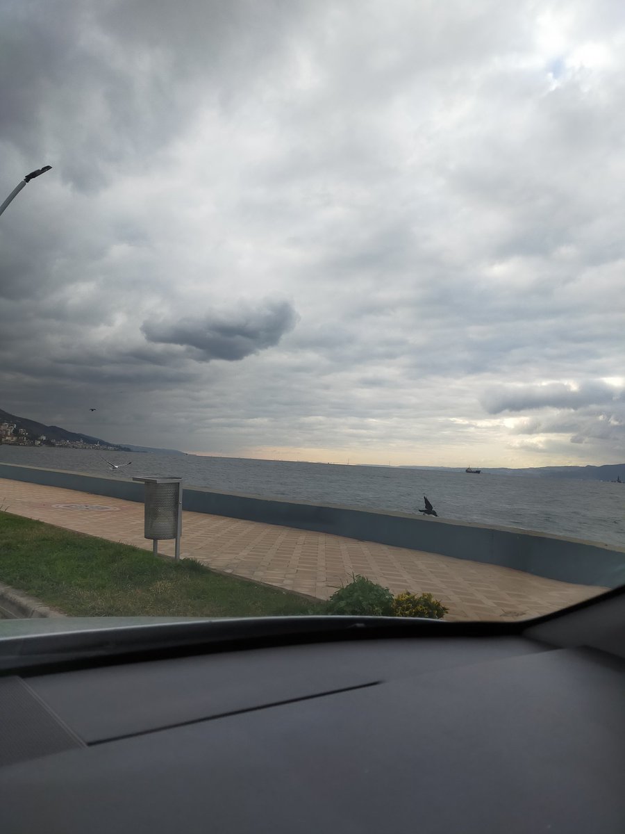 ANIL YAS 45 DUL #KOCAELİ (@anil444143) on Twitter photo 