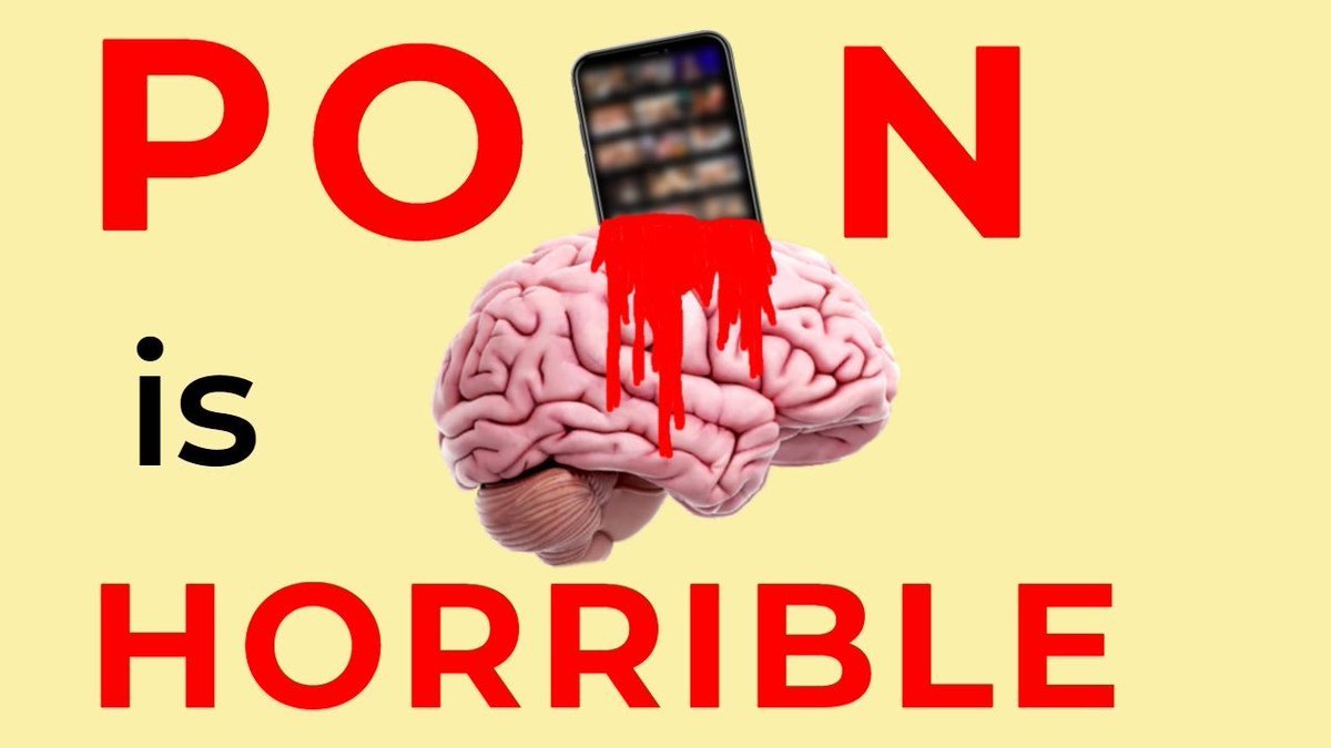 I'm 25.

I wasted 12 years of my life watching porn every single day.

After 1047 days porn-free and 250+ hours studying the science of addiction

I found 7 brutal ways porn destroys your brain: