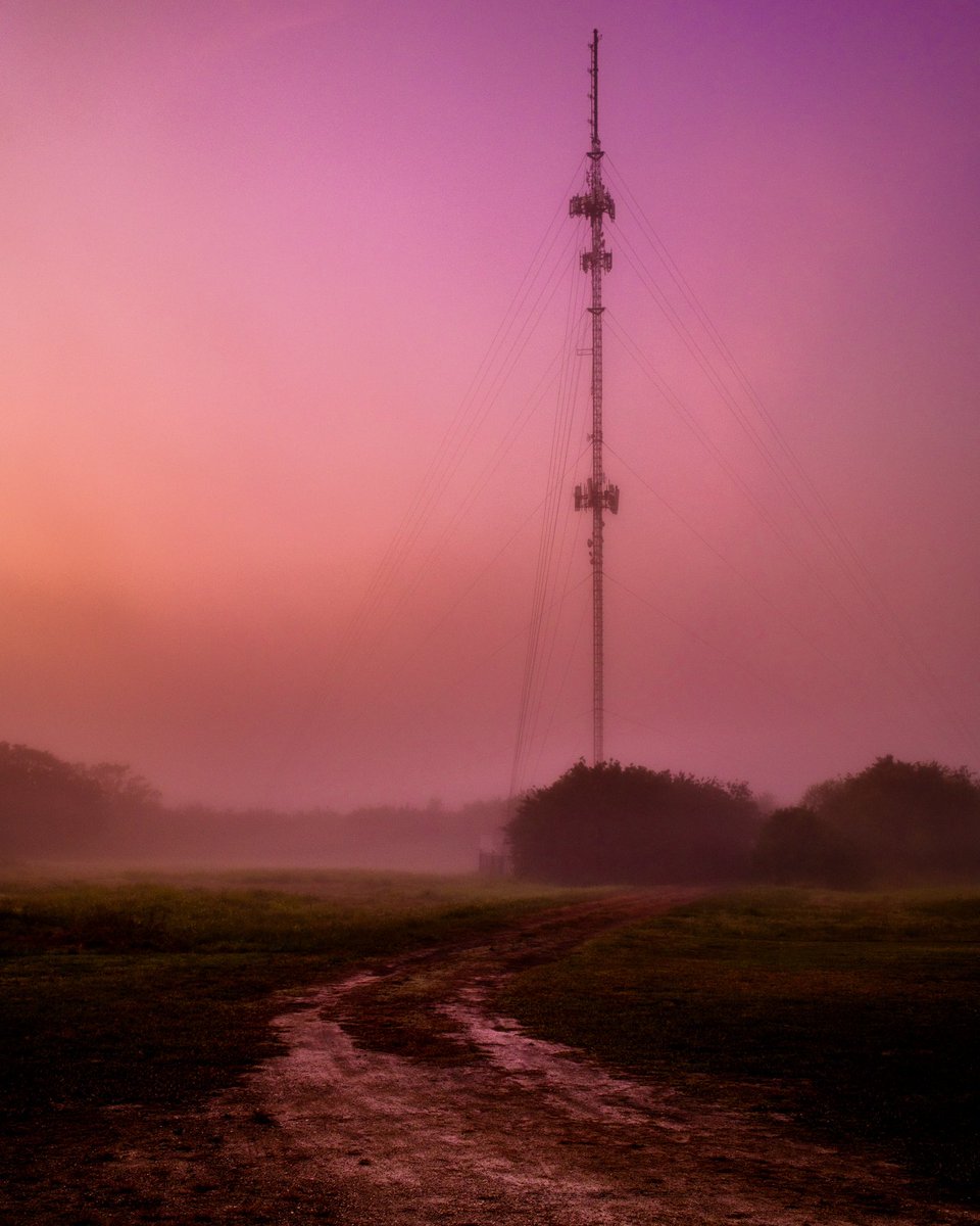 Photos i took this morning. Good morning!