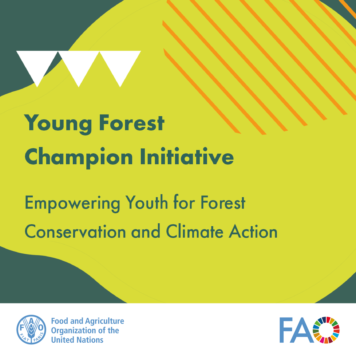 Applications are open for the #AIM4Forests Young Forest Champions initiative in Ghana, Kenya, Peru, Uganda &amp; Zambia! 

Apply by 14 Feb 2025 👉bit.ly/4hbhl4E

#ForestChampion

<a href="/World_FoodForum/">World Food Forum</a> <a href="/youthgogreen/">Uganda Youth Go-Green</a> <a href="/KeForestService/">Kenya Forest Service</a> <a href="/fcghana2020/">Forestry Commission Gh</a> <a href="/themysa_23/">Ministry of Youth, Sport & Arts</a> <a href="/pucp/">PUCP</a> <a href="/UKinPeru/">UK in Peru 🇬🇧🇵🇪</a>