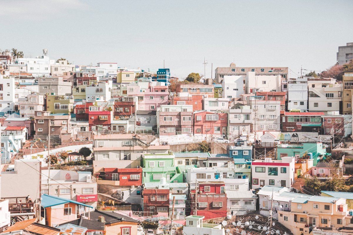 Franz-Renan Joly フルジ写真 tweet media