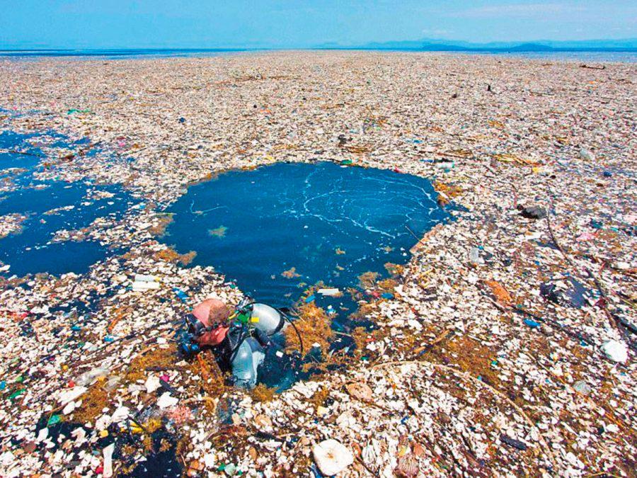 Did you know? The Great Pacific Garbage Patch, a massive collection of marine debris, is now estimated to be twice the size of Texas! 🌊🗑️ #OceanFacts #EnvironmentalAwareness